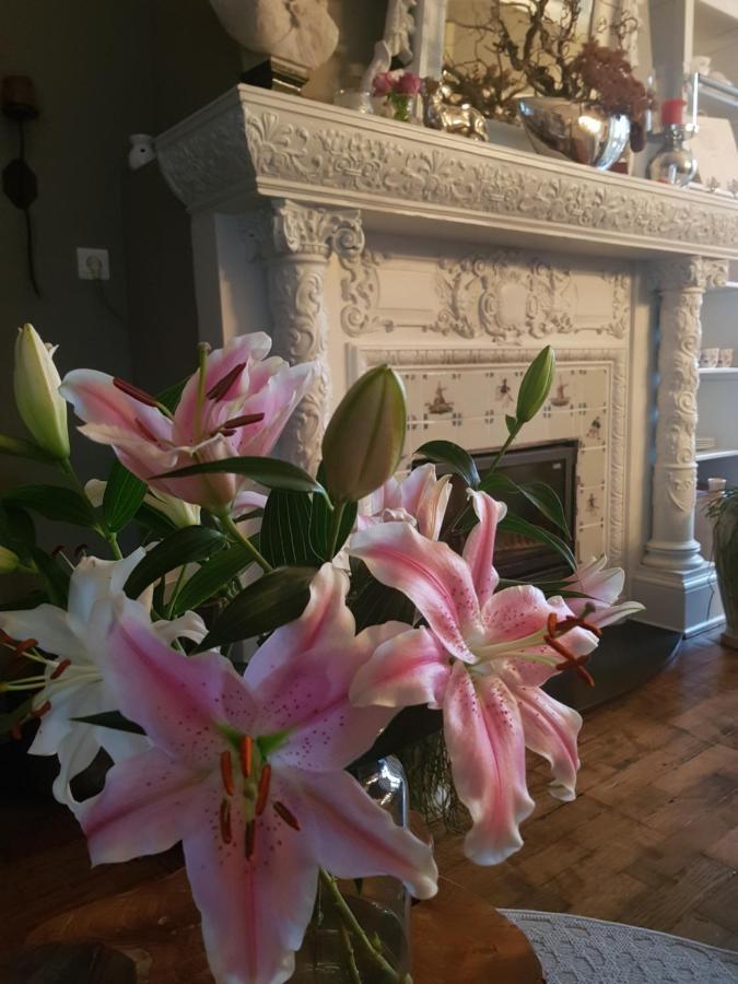 Neerpelt B&B Le Jardin المظهر الخارجي الصورة