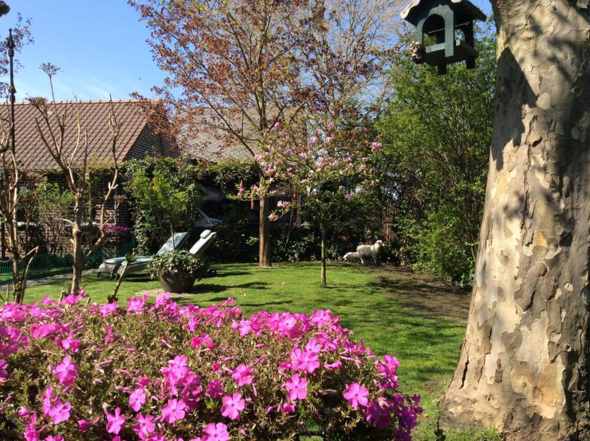 Neerpelt B&B Le Jardin المظهر الخارجي الصورة