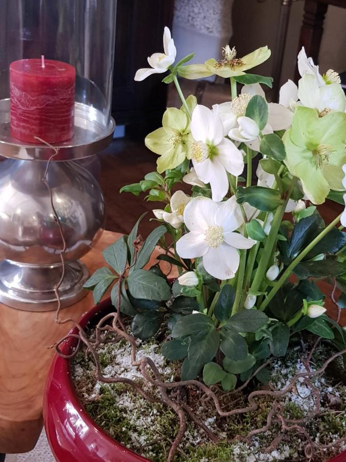 Neerpelt B&B Le Jardin المظهر الخارجي الصورة